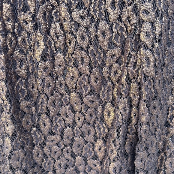 NWT Carlisle Collection Metallic Lace Embroidered Long Sleeve Blouse Sz 8 - Picture 7 of 7